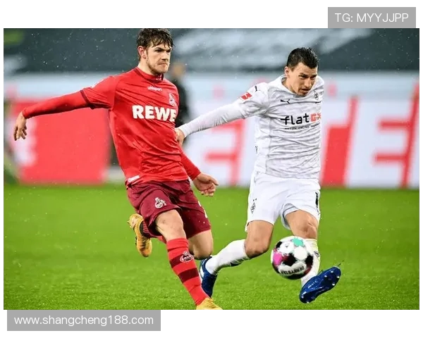 被低估的德甲球队有哪些?探讨“存在感低”的战术价值 被低估的德甲球队有哪些?探讨“存在感低”的战术价值