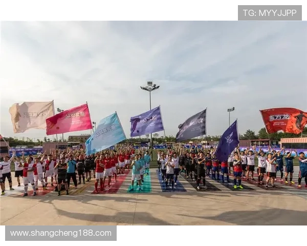 足球热力地图2024：城市足球活力分布与社群互动可视化报告